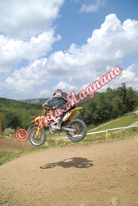 paroldo 309.jpg